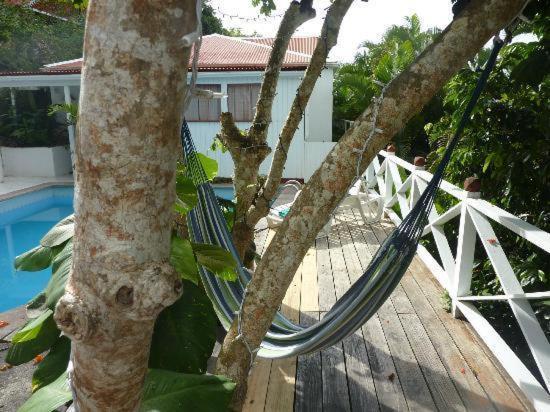 El Momo Cottages Windward Side Εξωτερικό φωτογραφία