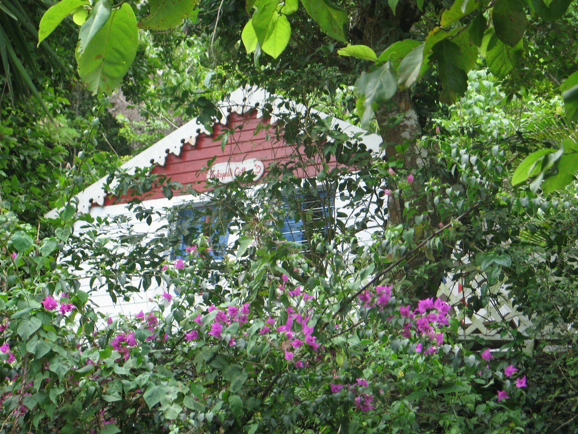 El Momo Cottages Windward Side Εξωτερικό φωτογραφία